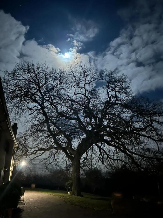 Podere Il Giurato Fauglia Buitenkant foto