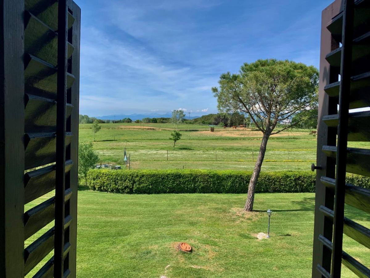 Podere Il Giurato Fauglia Buitenkant foto