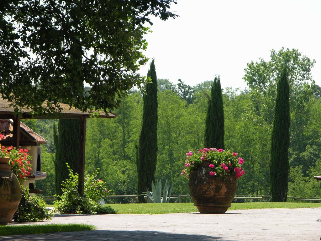 Podere Il Giurato Fauglia Buitenkant foto