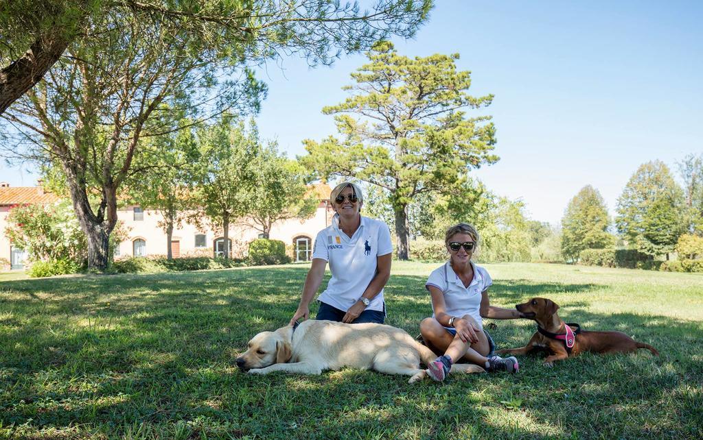 Podere Il Giurato Fauglia Buitenkant foto